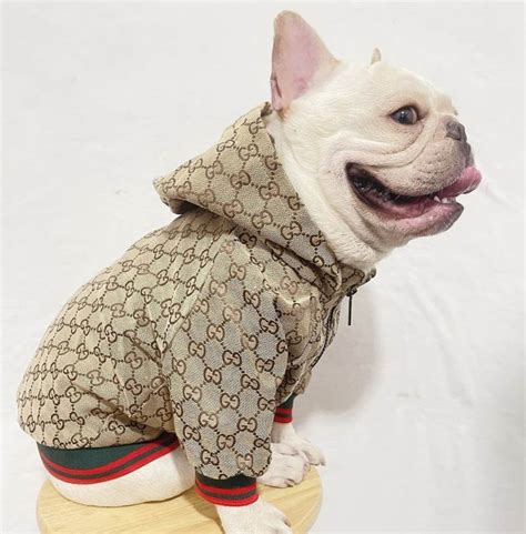 fake gucci dog clothes|luxury designer dog clothes.